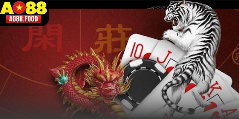 Hé lộ những lời khuyên từ chuyên gia rồng hổ AO88